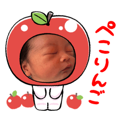 MOMO_20260211092236