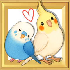 [Cockatiels and Budgies] Happy Moments