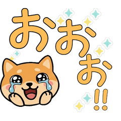 Polite Round Face Golden Hamster 23