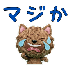 Plush American Wirehair 9th