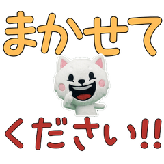 Polite White Shiba Inu  11