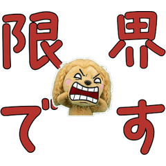 Moving Polite Afghan 12