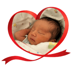 seiko_20260210164703