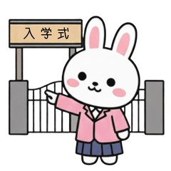 Congrats! Graduation & Entrance Rabbit