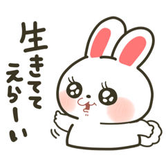kawachi rabbit