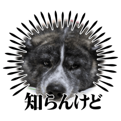 Philosophi-arrow_20260210115303