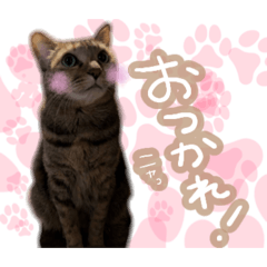 cinma_20260210115346