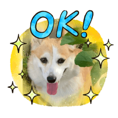 yukarin_desu_20260210120155