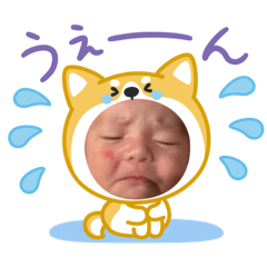 momo haru_20260210115709