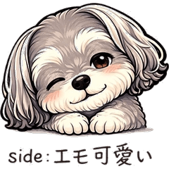 Silent Schnauzer Mission Log : S&P