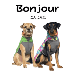 Cool Dog Stickers 55