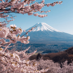 Japanese Mount Fuji Stickers