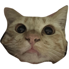 Meimei_20260210151115