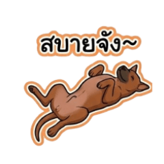 Clyhn_20260210151646