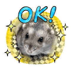 yuririri_20260210170342