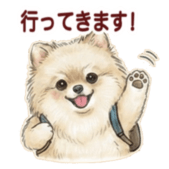 Tamamo's Cream Pomeranian