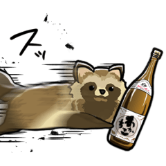 raccoon that brings presents