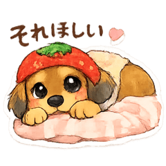 motoka_20260210190751