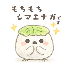 Mochimochi Shimaenaga san