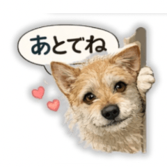 Lovely Lovely Dog Stickers 2