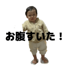 tyt_20260210204847