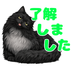 kakanon_20260210212539