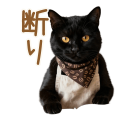 Barista Cat's Tactful Refusals