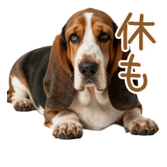 Total Affirmation Basset