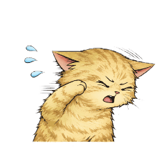 hamukita_20260211110609