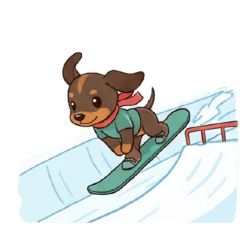 suisuisuu_20260208110312