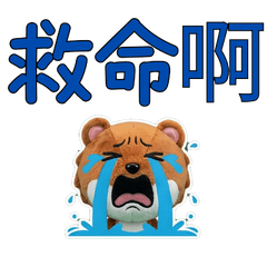 เพียงพอนเล็ก ไต้หวัน 33