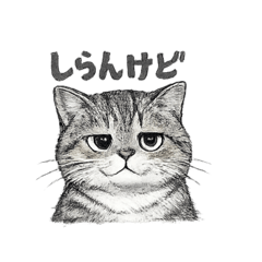 Heureuse_20260210220935