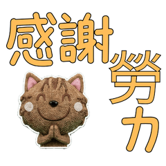 อเมริกันไวร์แฮร์ ไต้หวัน 33