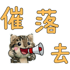 Moving Taiwanese Amebob 34