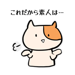 Rinco_20260211075040