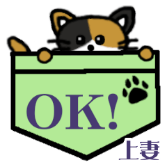 上妻「あがつま」ポケット三毛猫