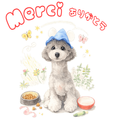 ANSWERのフレンチトーク♡