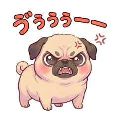 JAPANMAN_20260211090959