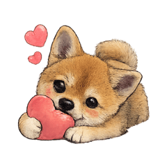 Roy726_20260210134552