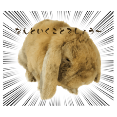 aminchi_20260210203547