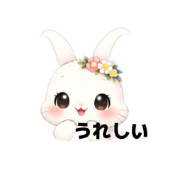 yukke_20260211111238