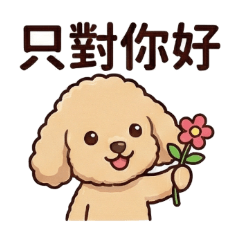 紅貴賓維尼愛你愛你