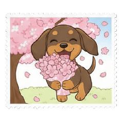 suisuisuu_20260210200350