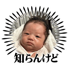 yoppy_20260210214836