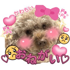 MARUNONYANNYANSUTANPU