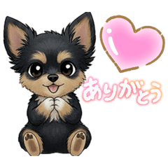 choco&pu_20260211022304