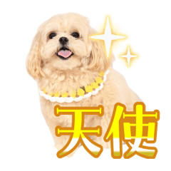 Kuuuu_20260211023420