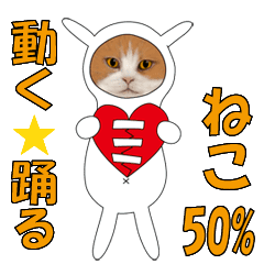 Moving and Dancing Cat 50%