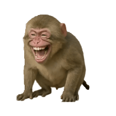 hyuga_20260208153641