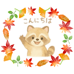 sss55sss_20260210160045